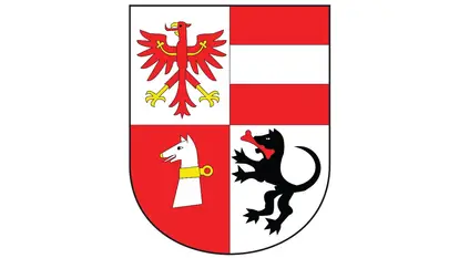 Elezioni Comunali